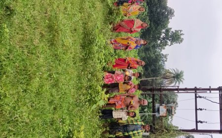 ଦୁର୍ଗମ ଅଞ୍ଚଳରେ ବିଦ୍ୟୁତ ସେବା ଠପ.. ଡିବିରୀ ଆଲୁଅ ସାହା ଭରଷା 
