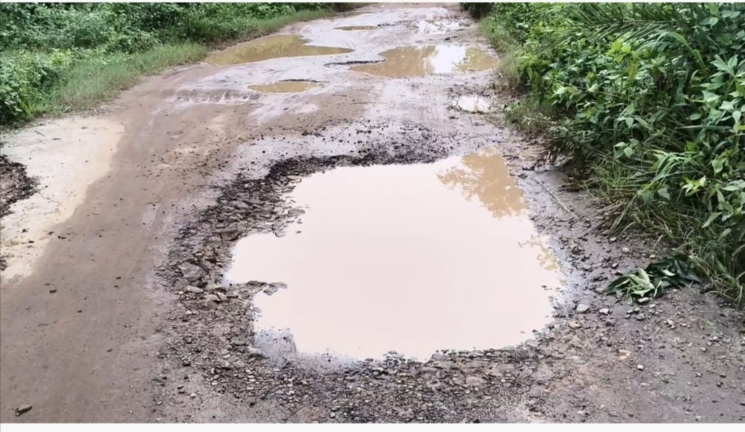 ଚିଲଗୁଡା ରାସ୍ତା ଅତ୍ୟନ୍ତ ଶୋଚନୀୟ. ସରକାର କେବେ ଦେବେ ନଜର 