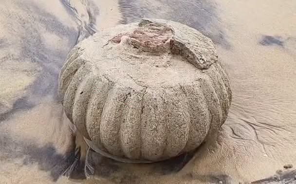 ସମୁଦ୍ର ଭିତରୁ ମନ୍ଦିର ଠାବ 