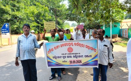 ଓଡିଶା ରାଜ୍ୟ ଅବସର ପ୍ରାପ୍ତ କର୍ମଚାରୀ ମହାସଂଘ ର ଧାରଣା 