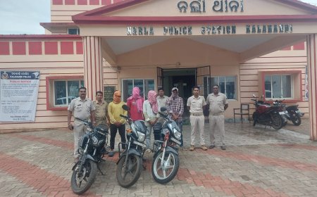 ନର୍ଲା ପୋଲିସ ହାତରେ ଡକାୟତି ଦଳ ଗିରଫ 