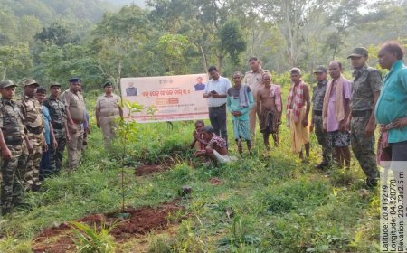 ଏକ ପେଡ଼ ମା କେ ନାମ କାର୍ଯ୍ୟକ୍ରମ 