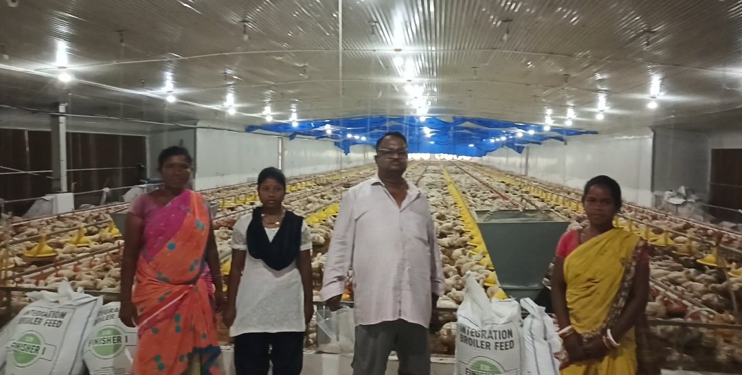 କେନ୍ଦୁଝର ଜିଲ୍ଲା ଖାଳିଆ ମେଣ୍ଟା ରେ ଅତ୍ୟାଧୁନିକ କୁକୁଡ଼ା ଫାର୍ମ ଯୋଗୁଁ ସ୍ୱାବଲମ୍ବୀ ହେଲେ ଅନେକ ପରିବାର 