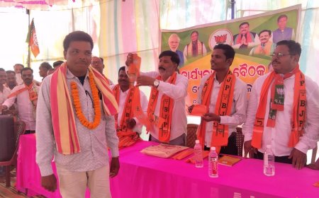ଡାବୁଗାଁ ରେ ବିଜେପିର ମିଶ୍ରଣ ପର୍ବ 