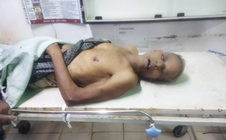 ହାତୀ ଆକ୍ରମଣ ରେ ବୃଦ୍ଧ ମୃତ 