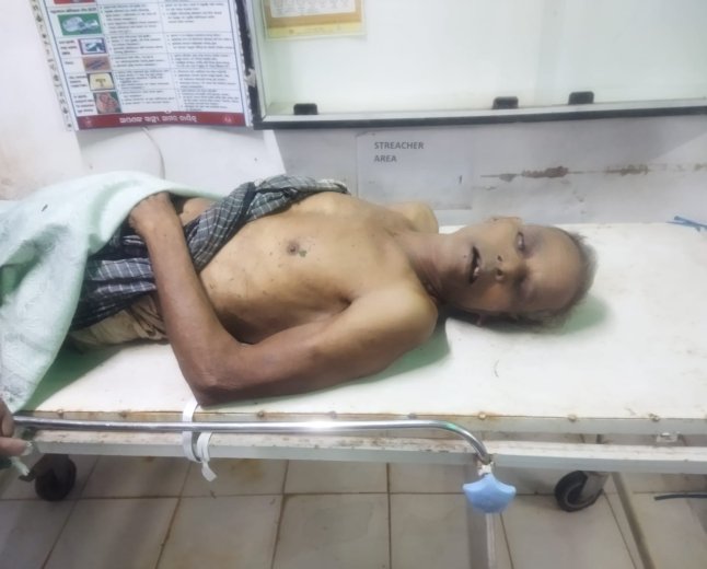 ହାତୀ ଆକ୍ରମଣ ରେ ବୃଦ୍ଧ ମୃତ 